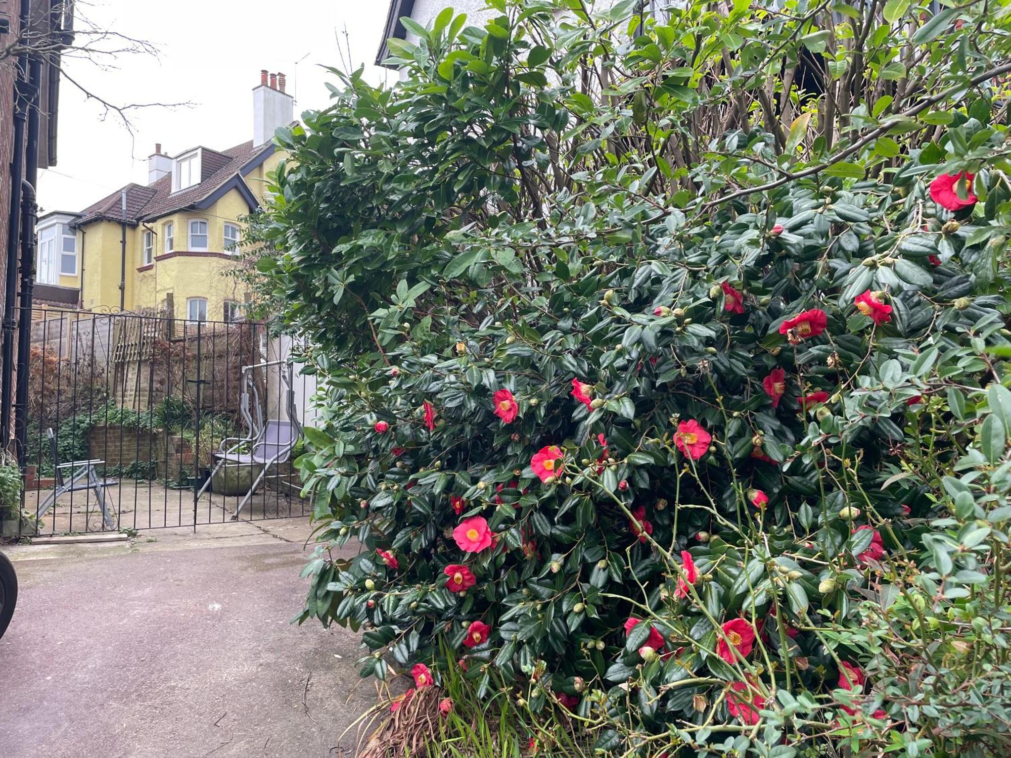 مبيت وإفطار Livadia House At St Leonards On Sea المظهر الخارجي الصورة